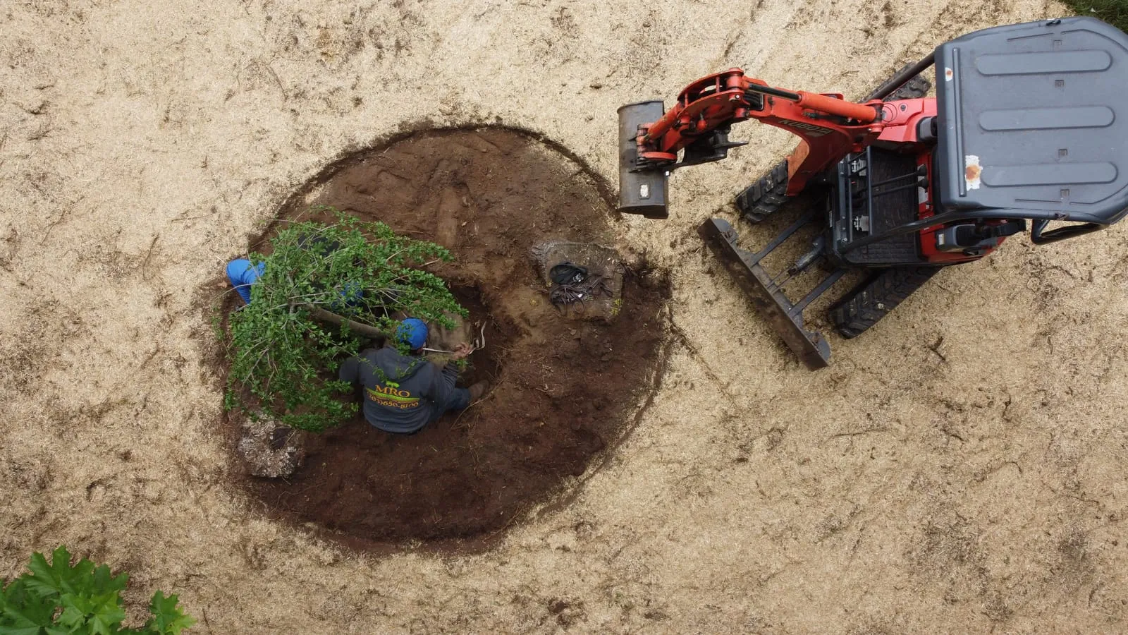 Garden Planting & Installation — Danbury, CT