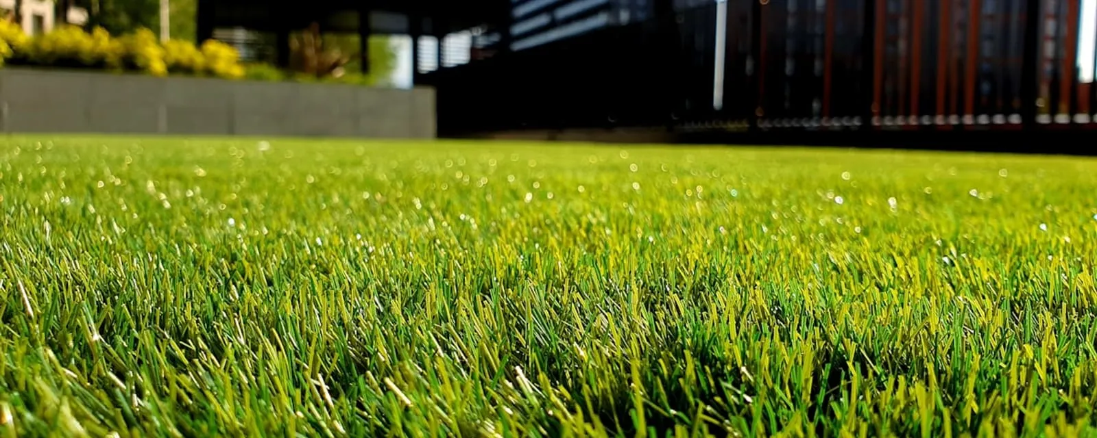 A lush, healthy, freshly maintained green lawn
